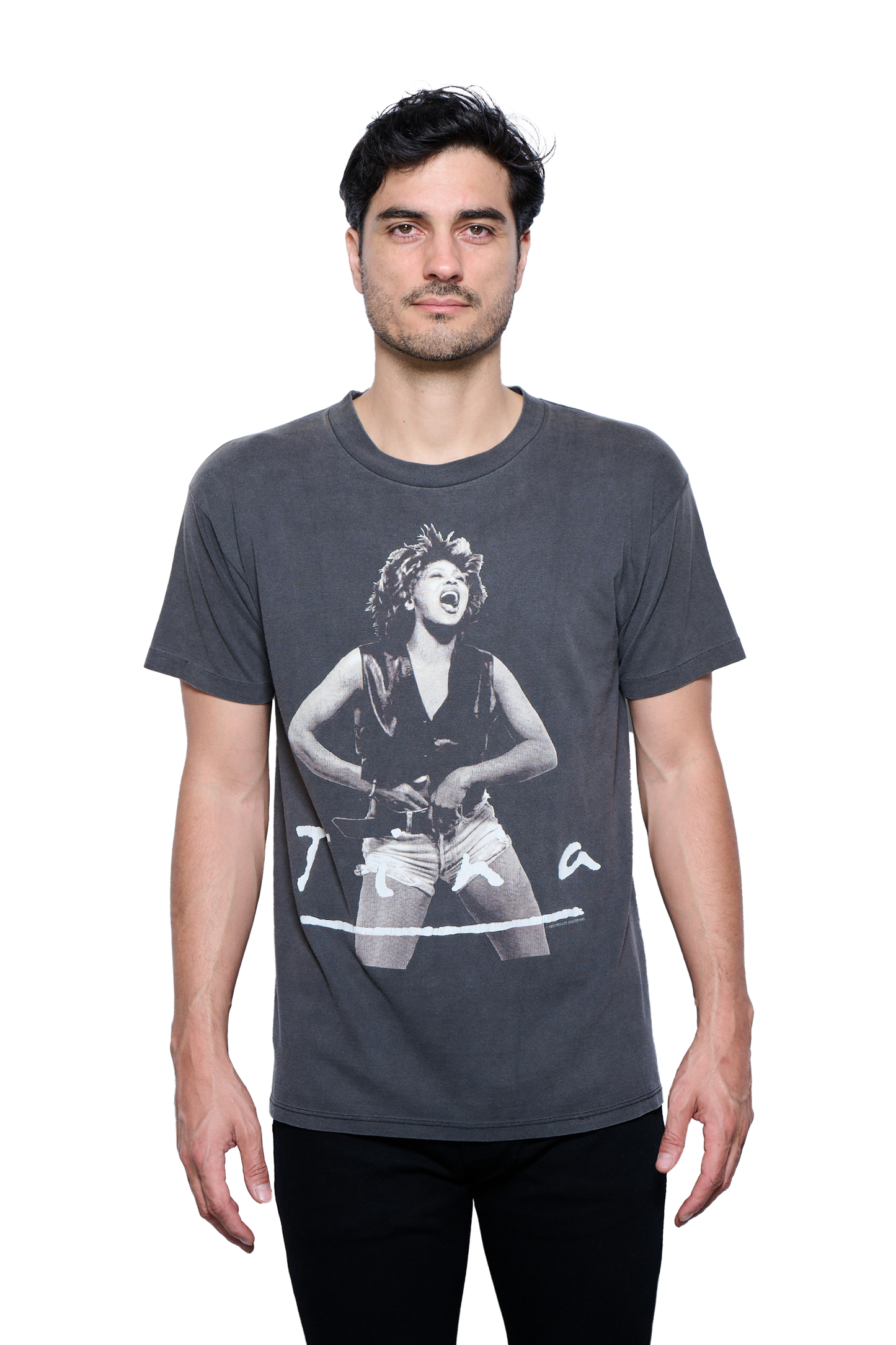 Vintage 1993 Tina Turner Tour T-Shirt