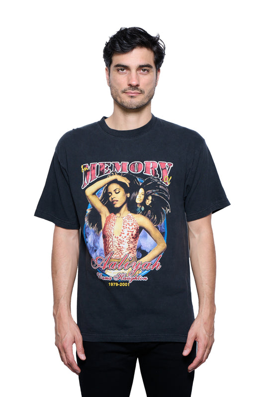 Vintage 2001 Aaliyah Tribute T-Shirt